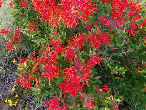 Manzana 62 – Lote 9