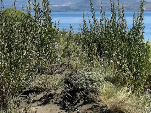 Lote de 2551 m2 con vista al Lago Huechulafquen y Volcan Lanin