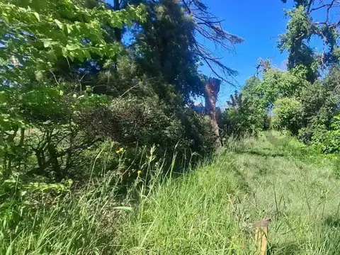 Lote 5000 m² sobre Avenida en Hurlingham – Ideal Depósito, Corralón o Emprendimi