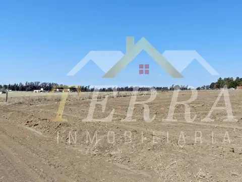 Ruta P N°5 Km 17 100