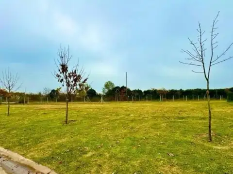 Terreno en Venta de 508,0 m2