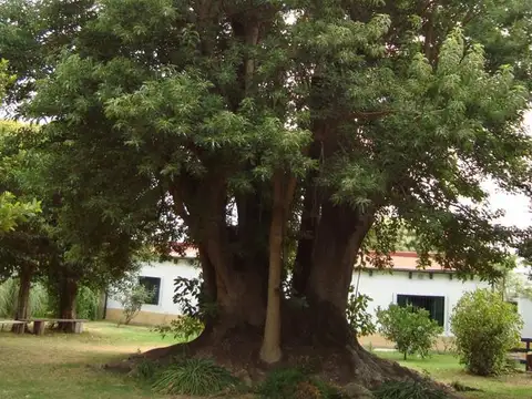 Casa - Pueblo Nuevo