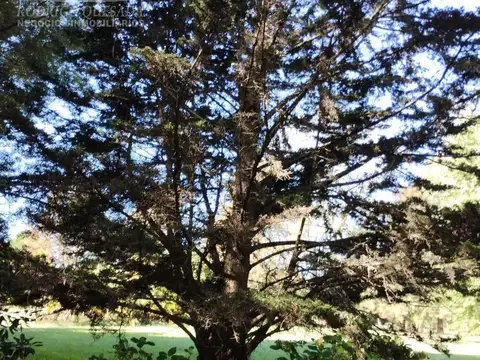 Terreno en Venta en General Lavalle, USD 200.000