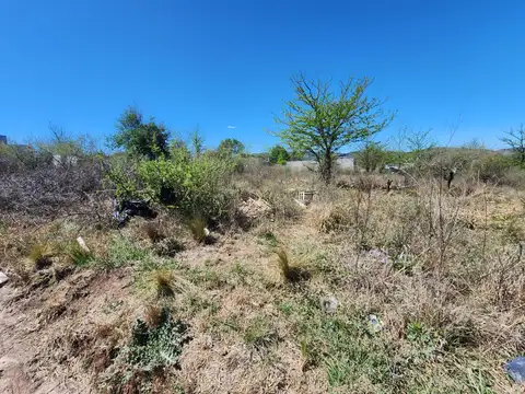 Terreno en Venta 41  mts Fondo