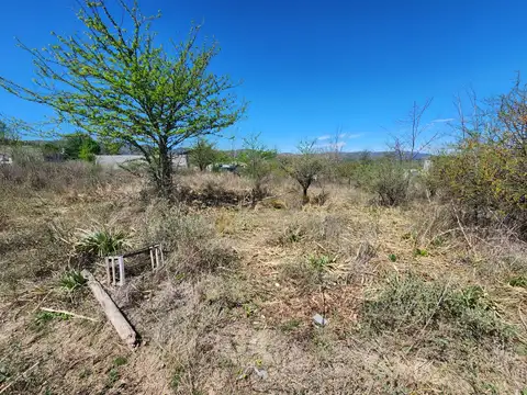 Lanjaron 100