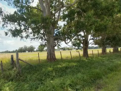 Terreno en Alquiler en Otro, $ 1.700.000