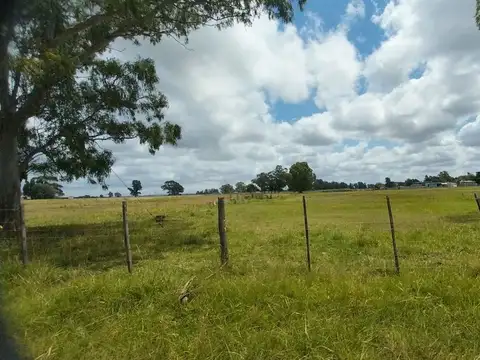 Terreno en Alquiler de 110000,0 m2