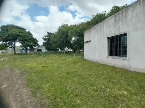 Alquiler de Campo de 11 hectáreas en El Casal