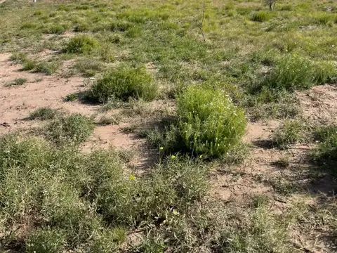 Terreno en Venta de 427,0 m2