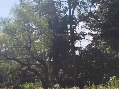 Terreno en Venta de 3856,0 m2