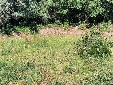 Terreno en Venta de 3856,0 m2