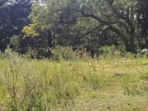 SE VENDE O PERMUTA LOTE EN LA CUMBRE BARRIO GOLF