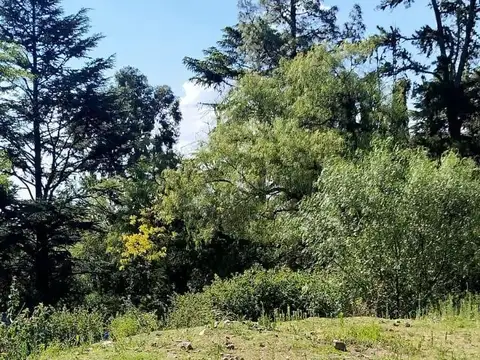 Terreno en Venta de 3856,0 m2