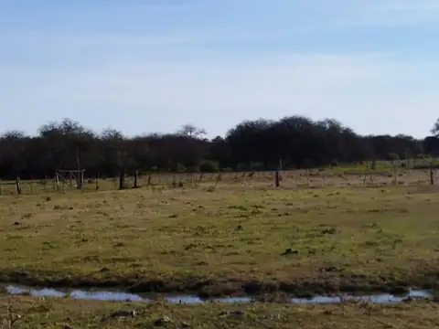 Campo en Venta con Alambrado