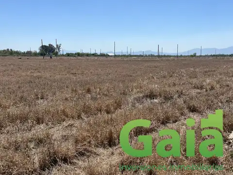 Terreno en Venta en Rosario De Lerma, USD 10.500