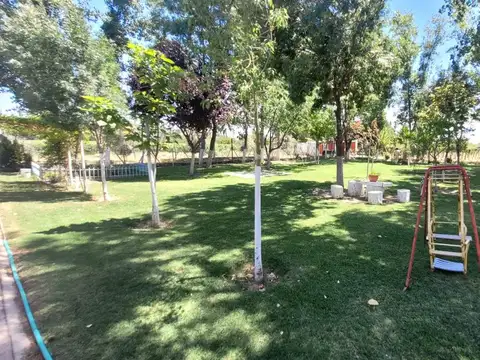 Carril del Centro 100