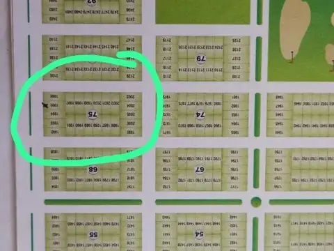 Terreno en Venta 30  mts Fondo