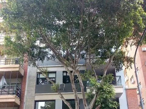 NOGOYA al 2400