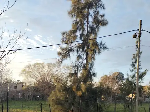 Terreno en Venta en Villa Elisa, USD 15.000