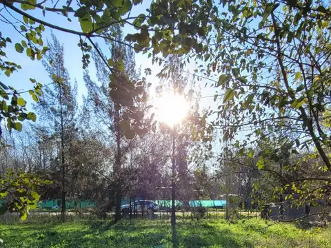 Terreno en Venta 30  mts Fondo