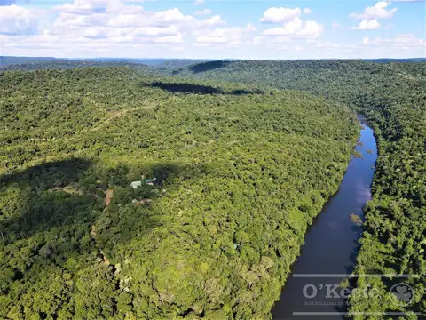 Campo en venta de 84.000 has en Misiones - Bonos Verdes