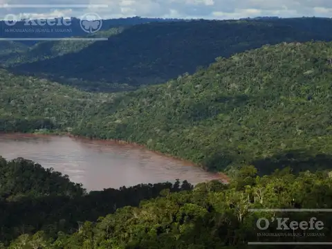 Campo en venta de 84.000 has en Misiones - Bonos Verdes