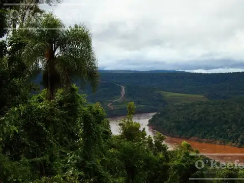 Campo en venta de 84.000 has en Misiones - Bonos Verdes