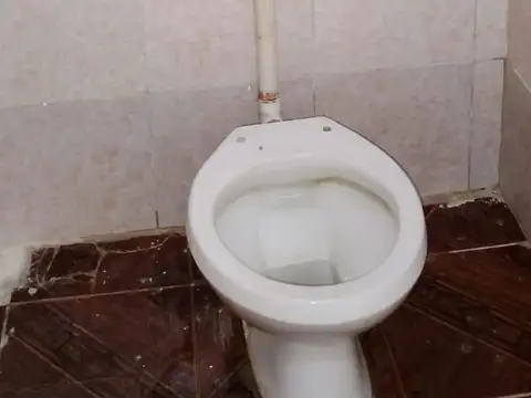 Vera Mujica 3900