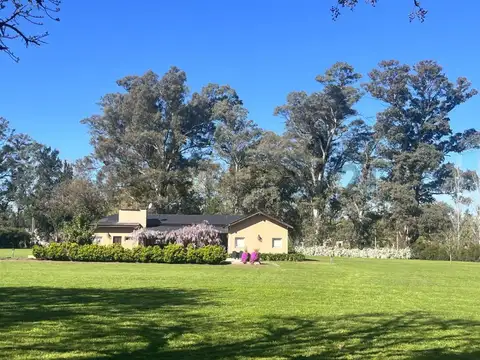 Aristóbulo del valle , Piso 0