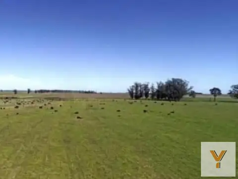 Campo en venta - 4.150.000Mts2 - Mar Chiquita