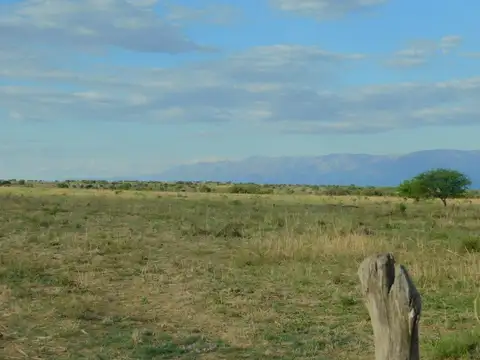 Campo en Venta de 1.000  ha