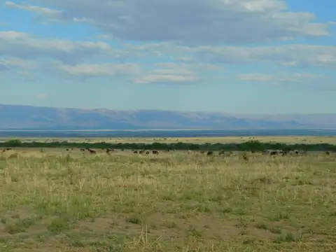 Campo 940 has en venta a 6 km de Santa Rosa, San Luis