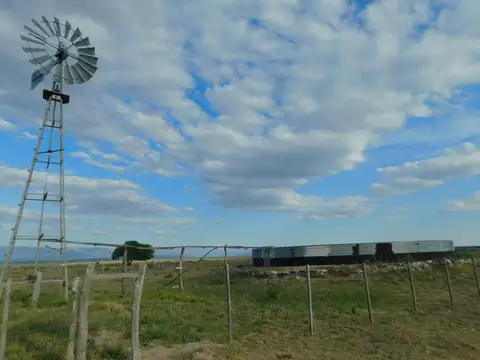 Campo en Venta Ganadero