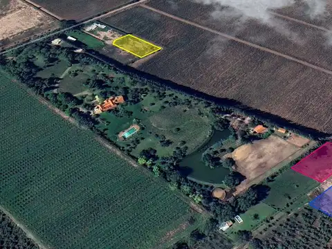 Roque Saenz Peña al 8000