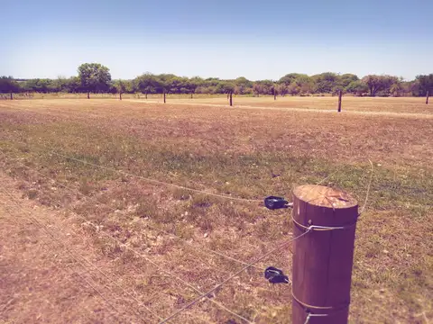Exclusivos Terrenos- Loteo Ceibos-General Alvear- Entre Ríos
