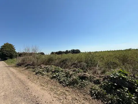Campo Zona Rural - Arroyo Seco