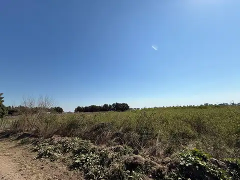 Campo Zona Rural - Arroyo Seco