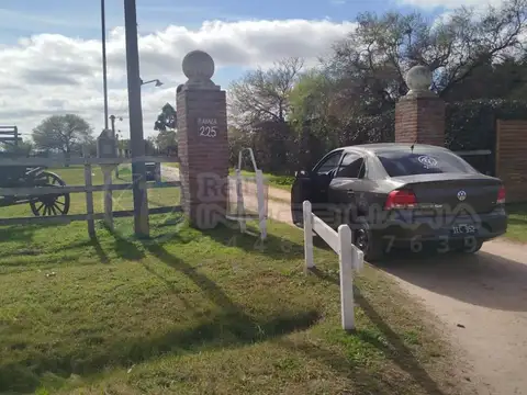 Pedro Ayala 225