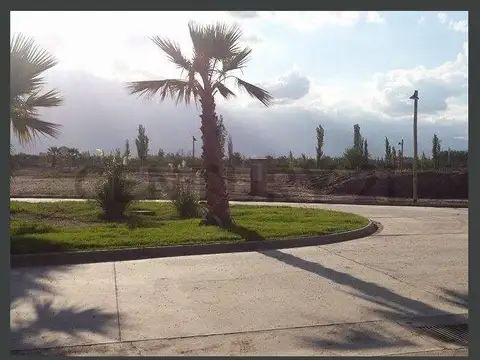 Terreno en Venta 30  mts Fondo