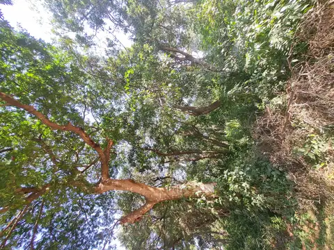 Terreno en Venta de 462,0 m2