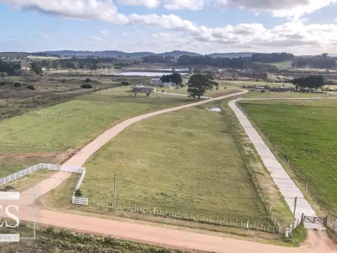 camino vecinal 100