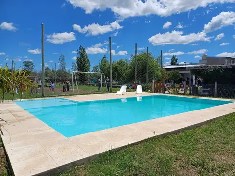 Las Glicinas