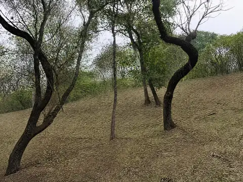 Terreno con vistas unicas en valle hermoso ,La Caldera