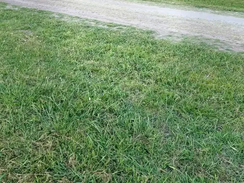 Gorriti 1000, El Espinillo