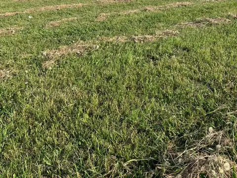 Terreno en Venta de 2000,0 m2