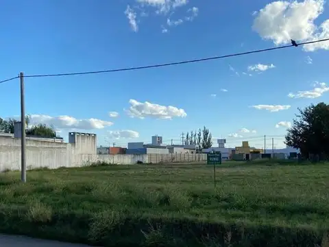 Monferrand 1700. Entre Leiva y Batallon 2