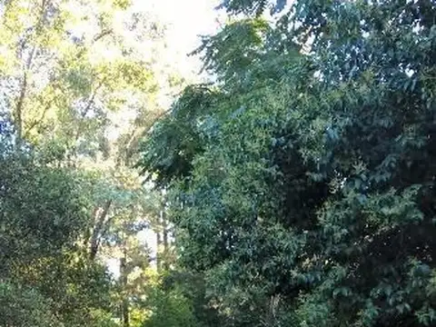 8  Lotes -  Lote de 8050 Metros Totales- / 180m 2  cubiertos.