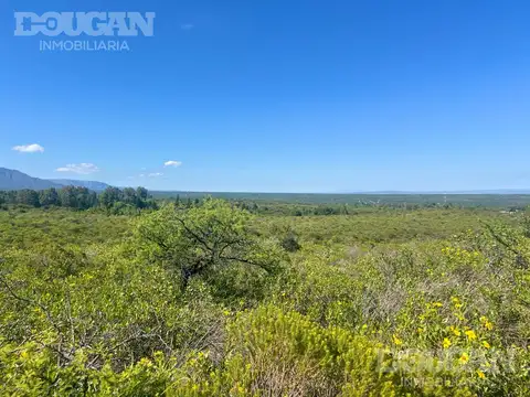 Calle Los Pinos Villa Elena
