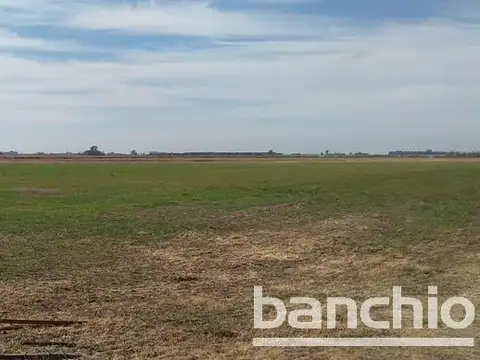 65 ha Agrícolas Angelica