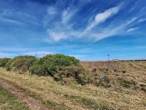 Terreno en Venta de 556,0 m2